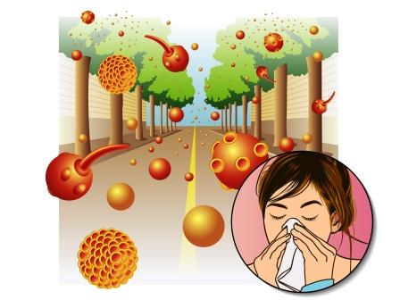 allergy to pollen, allergic rhinitis